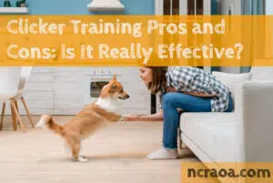 clicker training pros and cons