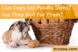 dogs eat potato skins