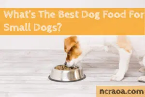 best dog food small dogs