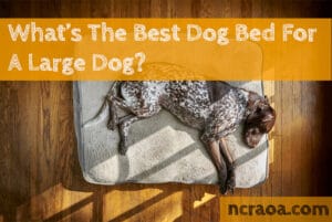 best large dog bed