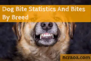 dog bite statistics