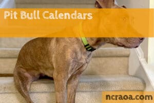 pit bull calendars