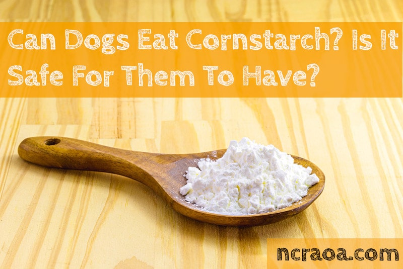 Top 10 is corn starch bad for dogs You Need To Know