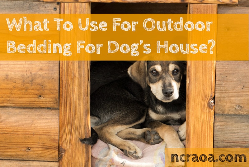 What Is The Best Bedding For Outdoor Dogs