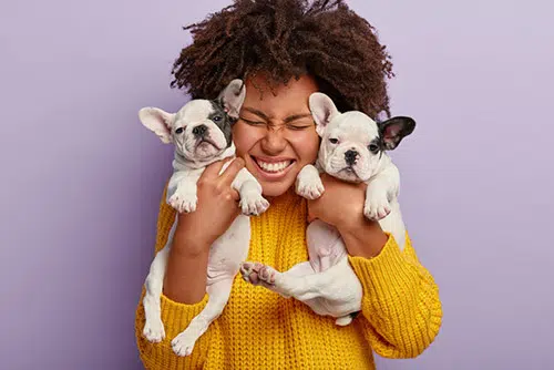 woman holding frenchie puppies