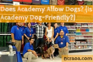 academy allow dogs