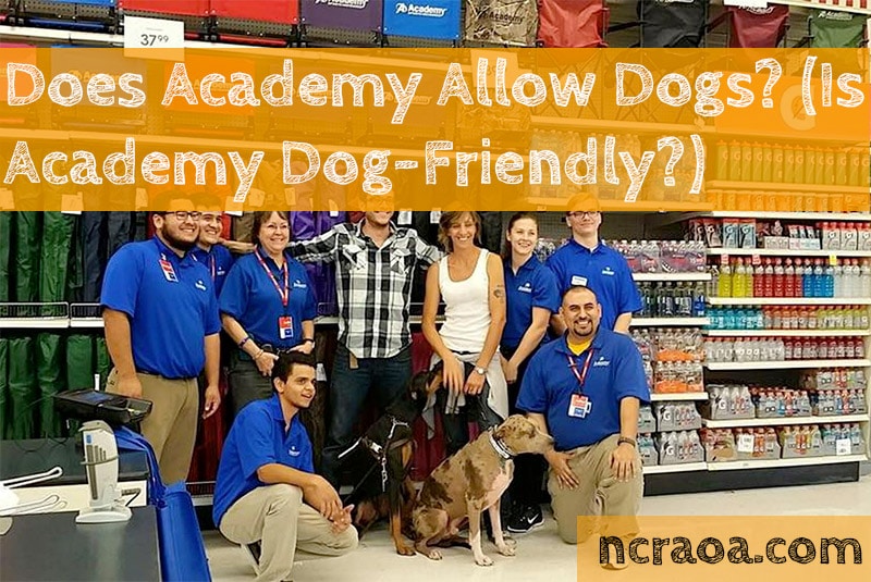 academy allow dogs