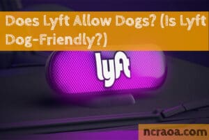 does lyft allow dogs