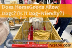 homegoods allow dogs