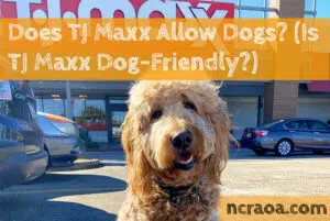 tj maxx dog policy