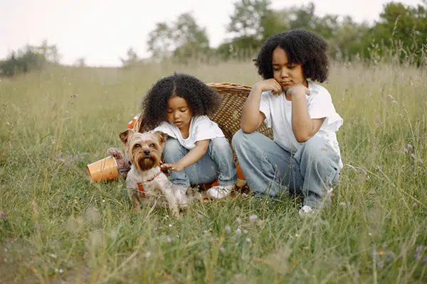 two kids with yorkie