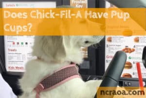 Does Chick-Fil-A Have Pup Cups?