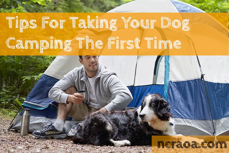 Tips For Taking Your Dog Camping