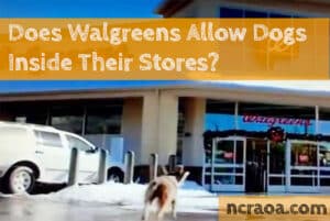 does walgreens allow dogs