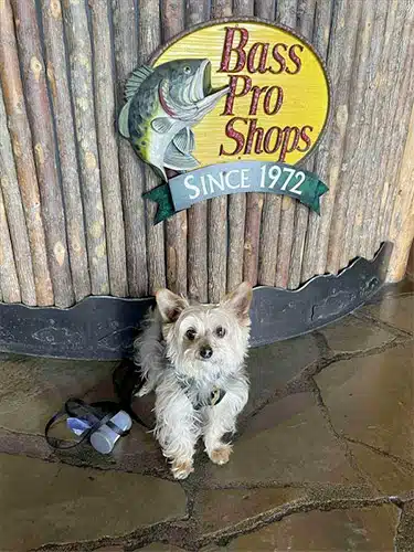 are dogs allowed in bass pro harrisburg