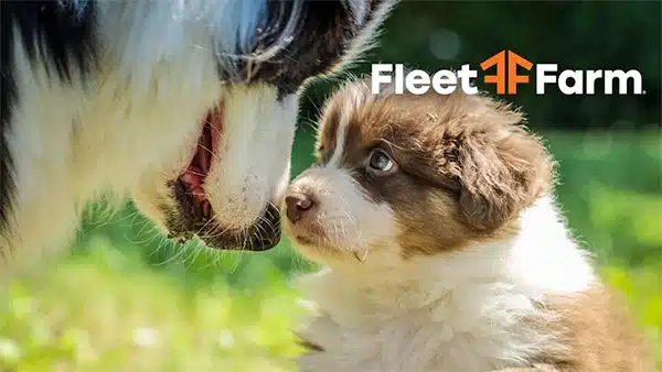 fleet farm dogs