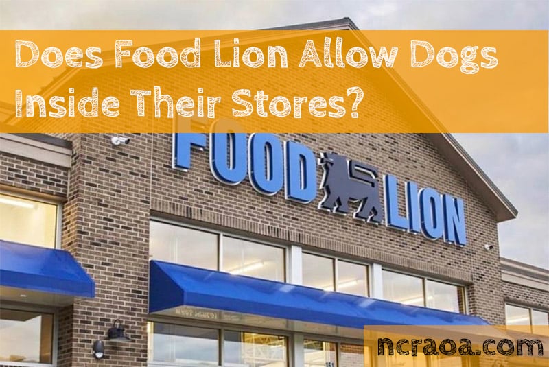 Are Dogs Allowed In Shops That Sell Food