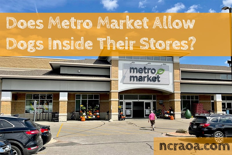 Does Metro Market Allow Dogs Inside? Is It DogFriendly? (2023 Store