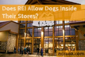 rei allow dogs