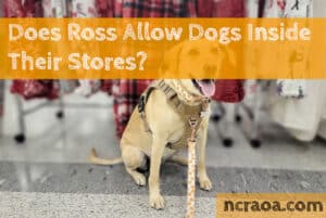 does ross allow dogs in store