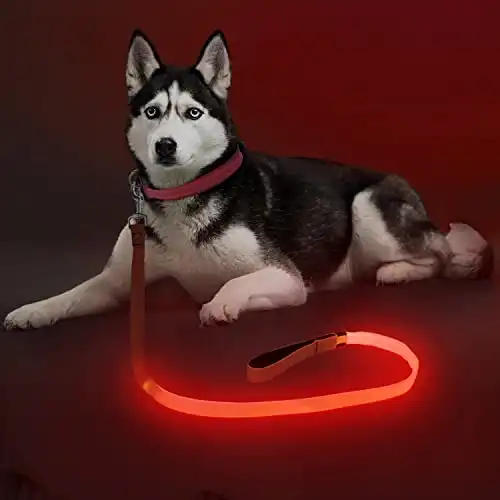 Colaseeme LED Light Up Dog Leash