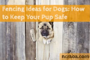 fencing ideas for dogs