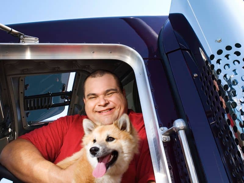 trucker with dog in cab