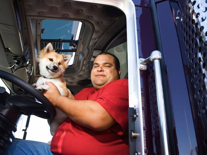 trucker with dog 