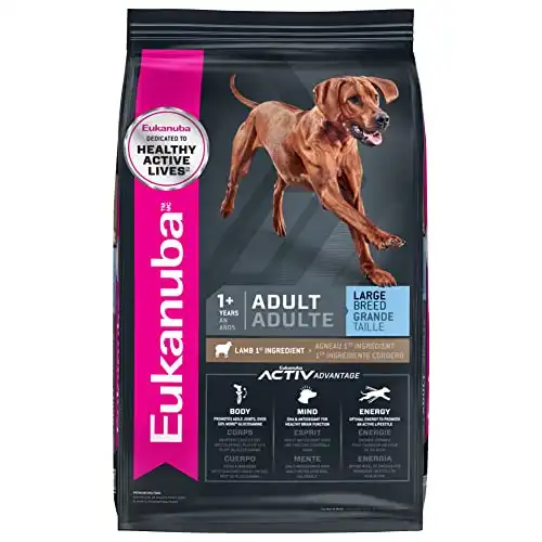Eukanuba Adult Large Breed Dry Dog Food, Lamb