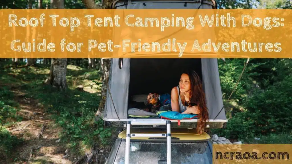 Roof Top Tent Camping With Dogs: Guide for Pet-Friendly Adventures