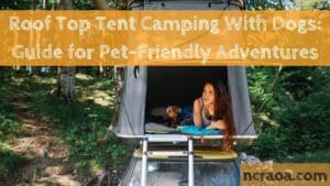 Roof Top Tent Camping With Dogs: Guide for Pet-Friendly Adventures