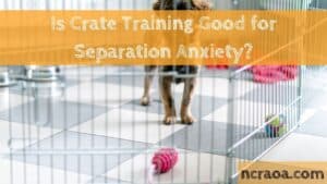 Is Crate Training Good for Separation Anxiety