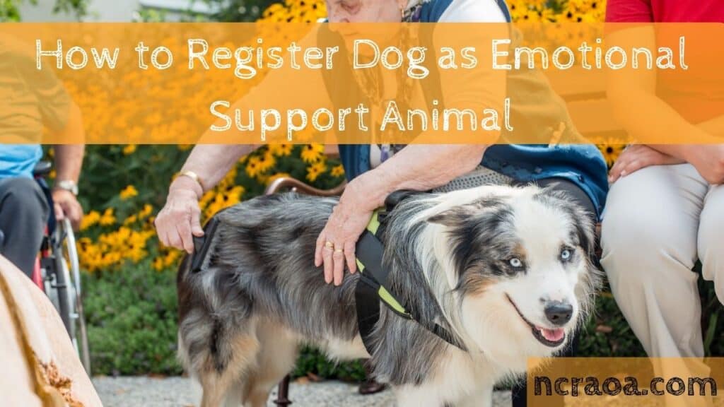 How to Register Dog as Emotional Support Animal