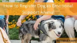 How to Register Dog as Emotional Support Animal