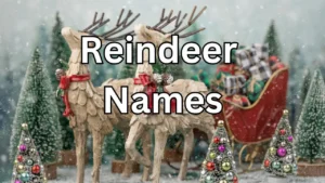 reindeer names