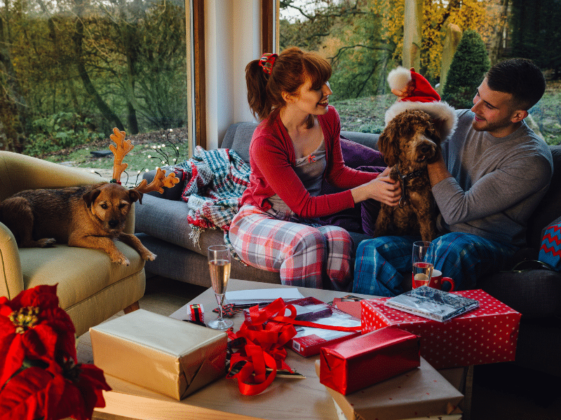 christmas couple dog